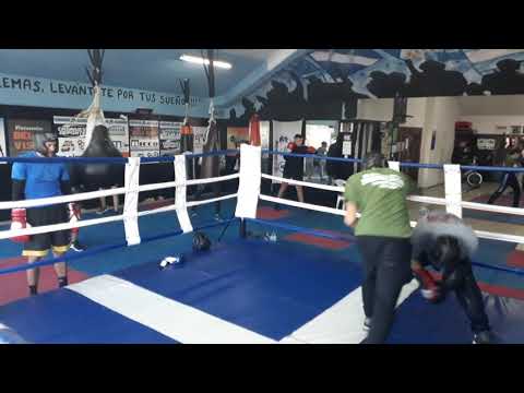 Gimnasio Alvarado guanteo