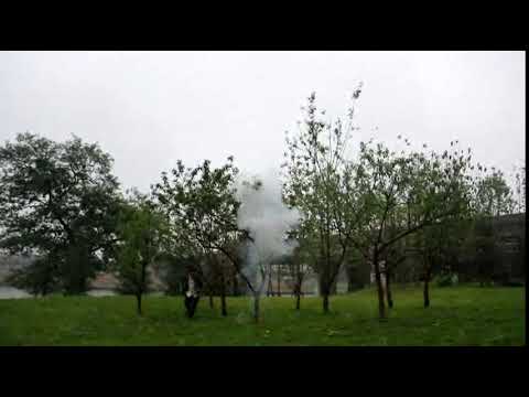 PFS040 (14PFS040): Dominator Burst - Point Explosion - Red w/ 2M e-match