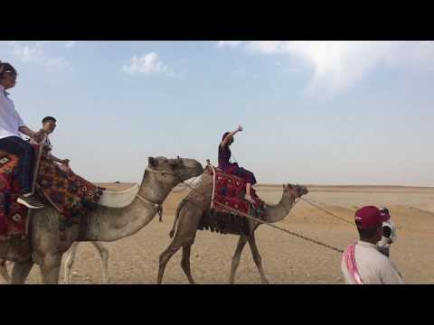 Camel ride tour at Giza Pyramids - Egypt