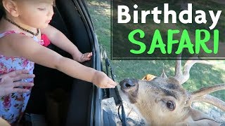 BIRTHDAY SAFARI!! || Zoie's 2nd birthday at Fossil Rim Wildlife Center