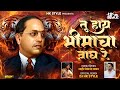 Mar Zadap Bedhadak Tu Hay Bhimacha Wagh DJ HK STYLE Instagram Trending Jay Bhim DJ Song