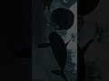 Killerwhales Orcawhale Happyfeet Horror