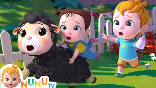 Baa Baa Black Sheep 🐑 | Nursery Rhymes &amp; Kids Songs | Sing Along Song With NuNu Tv