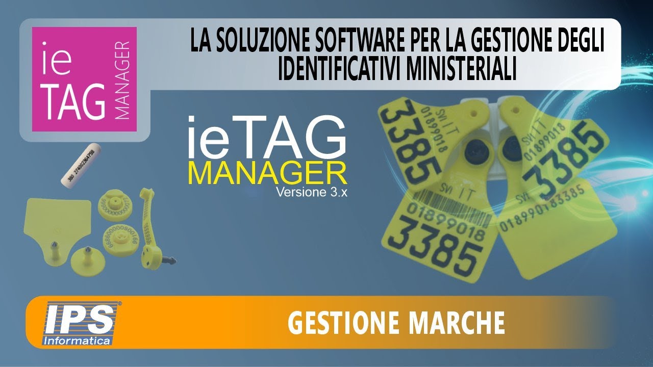 Gestione Marche