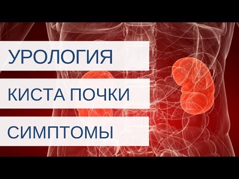 Киста почки: лечение, симптомы, диагностика | Клиника "Добрый прогноз" - фото 1