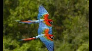 Amigo é coisa pra se guardar !!!