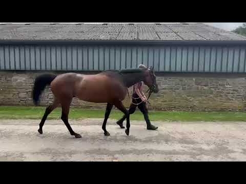 Video 1