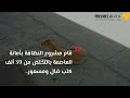 الأمانة: التخلص من 39 ألف كلب ضال في أمانة العاصمة????????‍????.