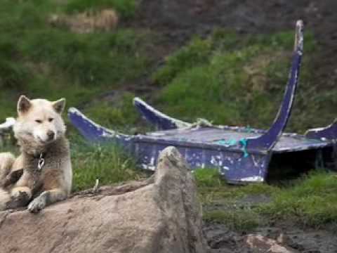 Big Country Blues - Townes Van Zandt