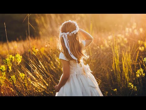 Bem-aventurados os puros! (Ao vivo com Pe. Paulo, #286)