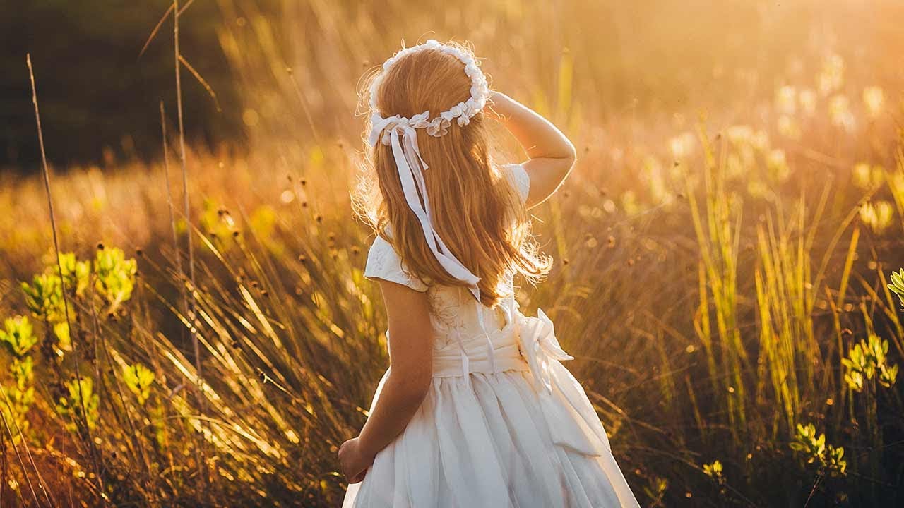 Bem-aventurados os puros! (Ao vivo com Pe. Paulo, #286)