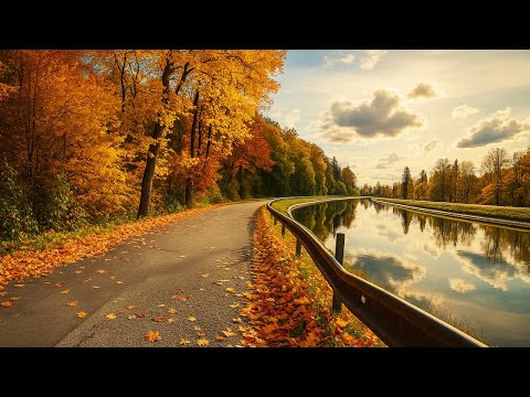 Bavaria in Full Autumn Glory 🍁 | Relaxing 4K Cycling along the Isar River | Natural Sounds