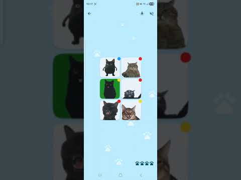 Cat Memory