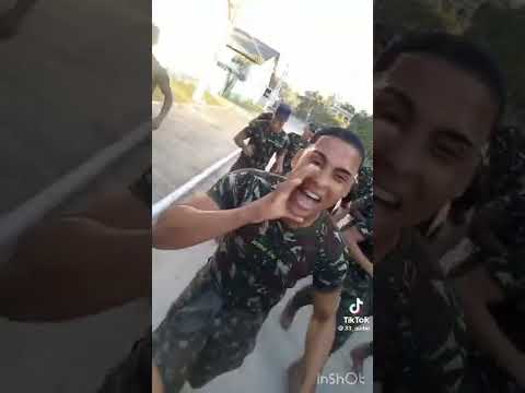 Tfm canções melhores1111