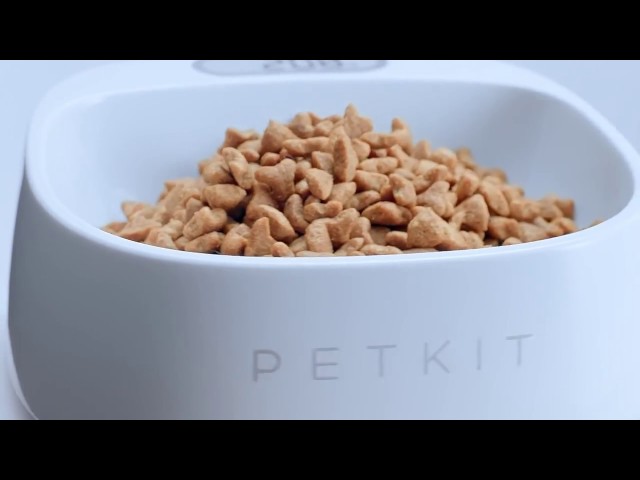 Video Teaser für PETKIT FRESH NEW SMART ANTI-BACTERIAL BOWL FOR DOGS AND CATS