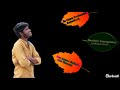 Nithunae Kalani Gadapalani Apalani Nithuni Samayani Gadapalani Na Janma Korindhi Ni Thudhunu Song