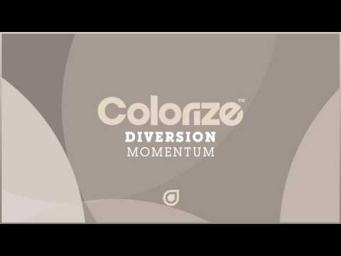 Diversion - Momentum [OUT NOW]