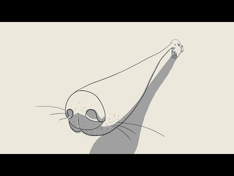 Didn't I do it for you 🐶 (Borzoi dog meme)