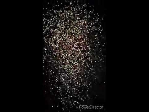 Miky Woodz ft Chencho (PLAN B) -impaciente coming soon