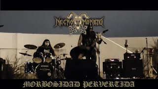 Necro Morbid - Morbosidad Pervertida /Plandemic Fest Vol 2.0