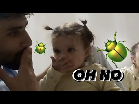 OH NO 😱 EIN KÄFER 🪲 | Nader Louisa