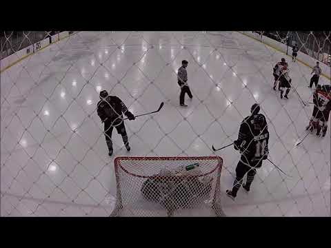 Vengeance vs Lansing Wolves - 3/17/18 - Playoffs Game 2