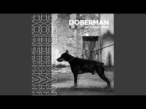 Doberman