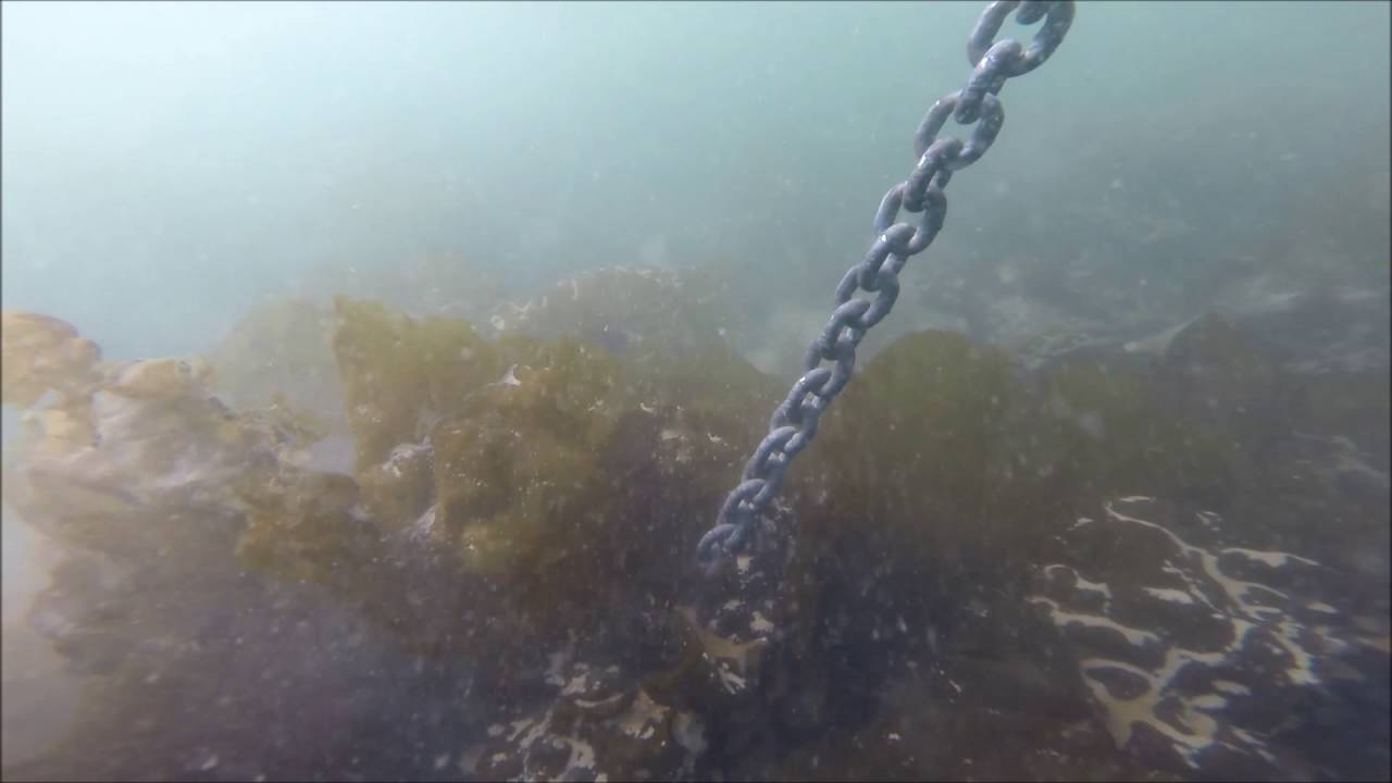 Ancre Spade dans les algues. Vidéo #64 d'une série en cours sur le mouillage.