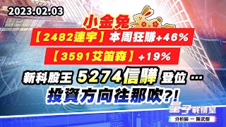 【量子戰情室】#陳武傑 0203 小金兔【2482連宇】本周狂賺+46% / 【3591艾笛森】+19% / 新科股王 5274信驊 登位 …投資方向往那吹?! (圖)