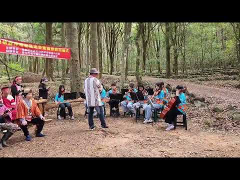 德芙蘭國小弦樂團演奏