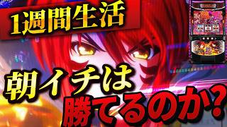 【悲報】「戦国乙女5」、ユーザーの「〇〇」に耐えきれず過疎化ｗｗｗ