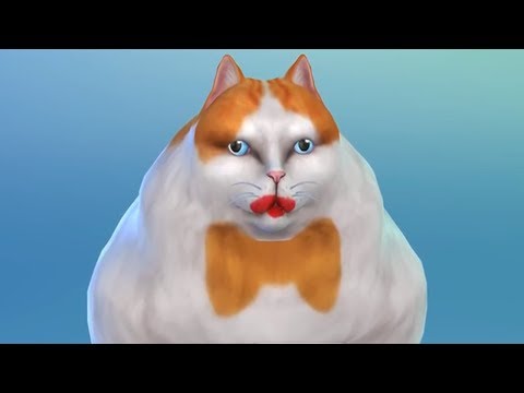 Simoleon Horror Story: Freak Show