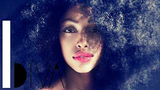 Adina Howard - Freak Like Me (1995)