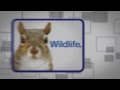 Vectren Com Outage Wildlife