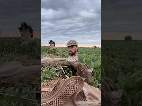 Ist Bruder gut? #bwfilms #bw