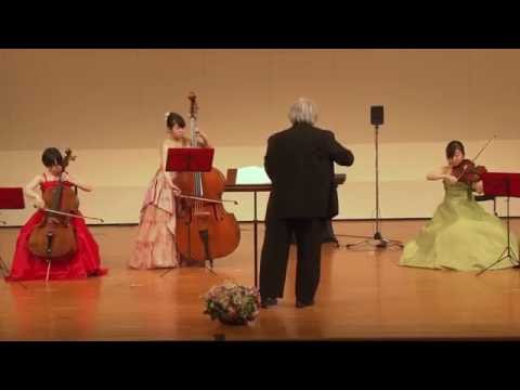 download lagu mp3 mp4 Eminor Archiv 01, download mp3 Eminor Archiv 01 free download mp3, download mp3 Eminor Archiv 01