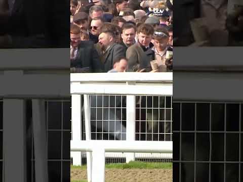 This will be sure to make you laugh 😆