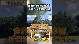 【株初心者】配当が4年で3倍今買うべき高配当株