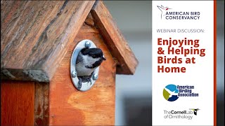 Enjoying and Helping Birds at Home, May 7