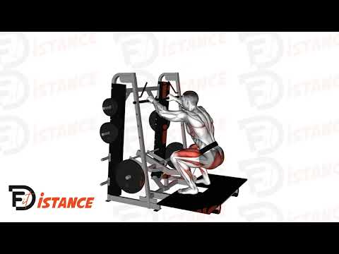 Belt Squats - Exercice Belt Squats en vidéo Belt Squats - Exercice Belt Squats en vidéo