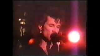 Mink DeVille - 12 Ruler Of My Heart