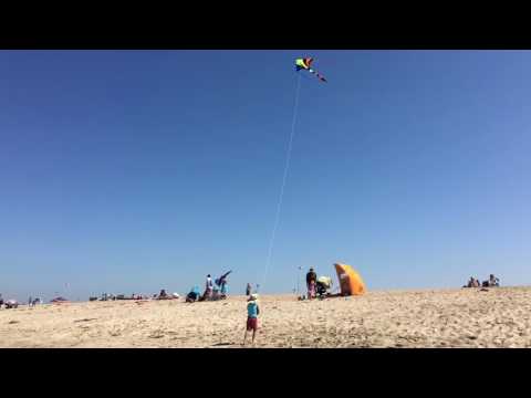 Magnus, go fly a kite