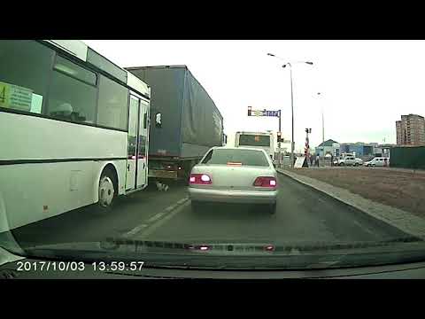 Из остановившейся на дороге машины выкинули кота (смотреть до конца)