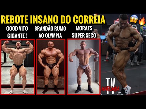 CORREIA INCRÍVEL + BRANDÃO ATUALIZA SHAPE + MORAES SUPER SECO + RUSSO APARECE GIGANTE - TV MAROMBA