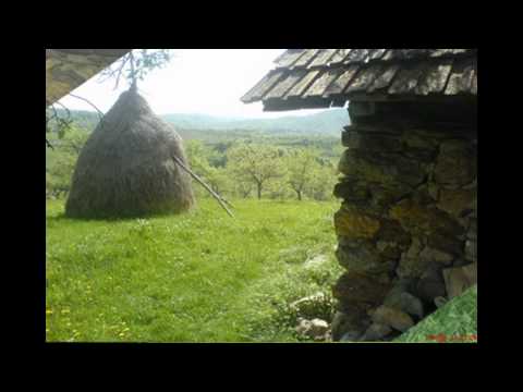 Loc   Farasesti, jud  Timis 2011 1