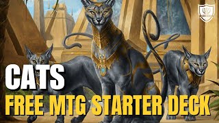 MTG Arena Beginner Deck Guide — Cat Attack Is WAY Better Than You Think (Free Starter Deck Gameplay)