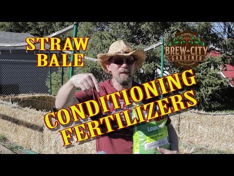 BALE GARDENING - CONDITIONING FERTILIZERS