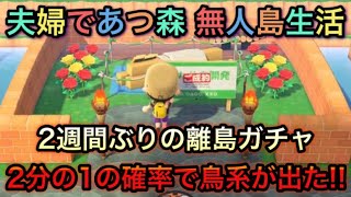 【あつまれ どうぶつの森】2分の1の確率でトリが出現した離島ガチャ!! 最終的にお目当てゲット♬