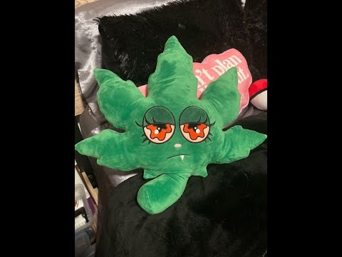 LIL MORTY X UGLYSTEPHAN X YEAT X PLUG X kashglock type beat