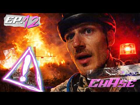 Roofless Cat and 5 more